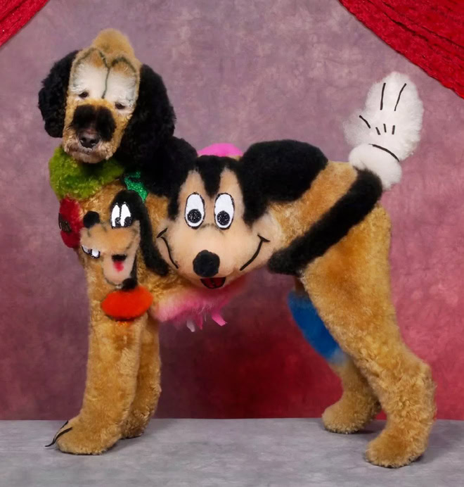 Weird and crazy dog grooming.