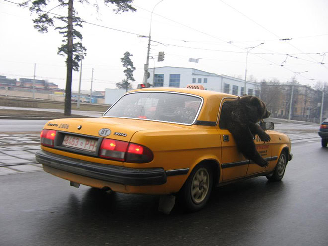 Only in Russia...