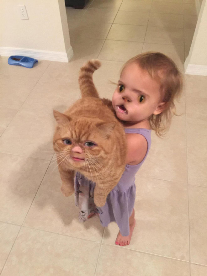 Hilarious face swap.