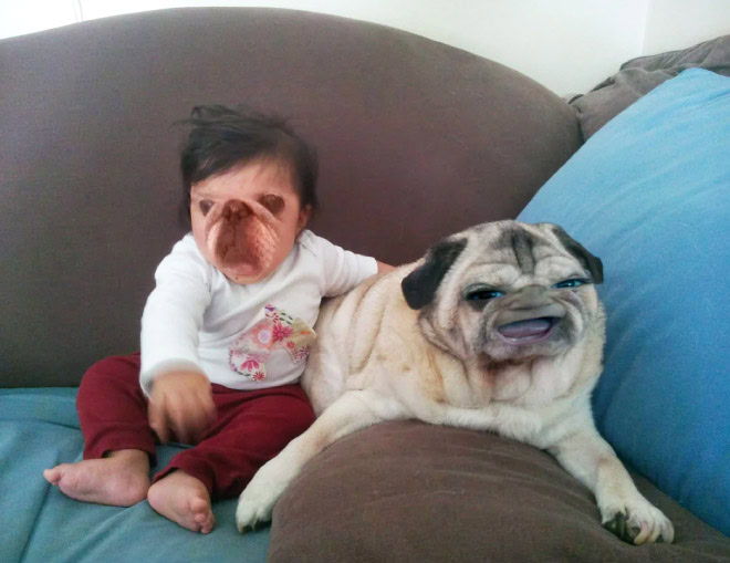 Hilarious face swap.