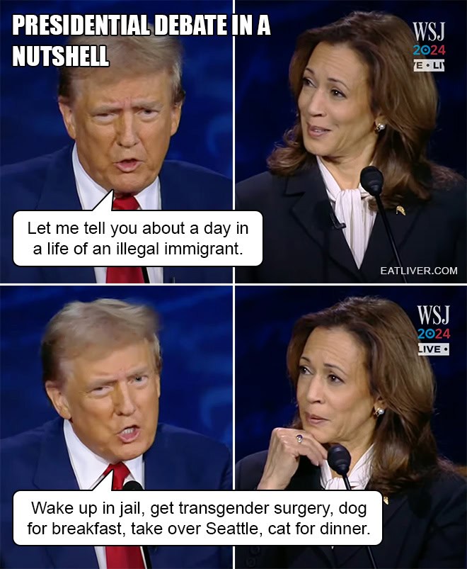 Let me tell you about a day in a life of an illegal immigrant. Wake up in jail, get transgender surgery, dog for breakfast, take over Seattle, cat for dinner.