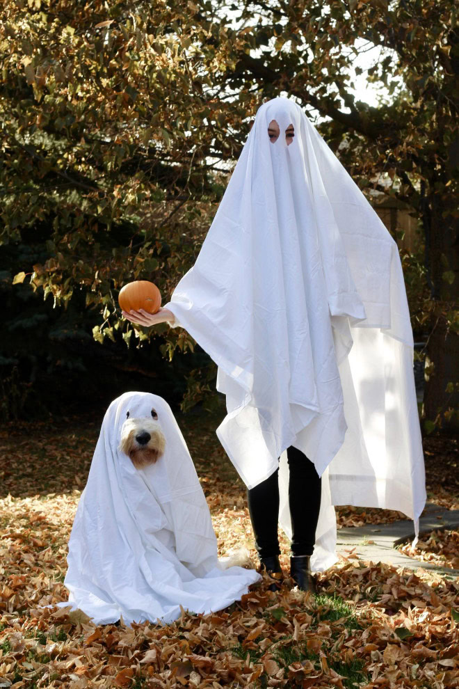 Scary dog ghost Halloween costume.