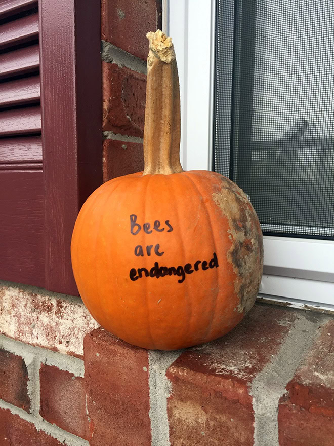 The scariest Halloween pumpkin ever.