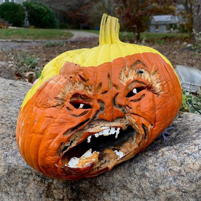 Trumpkin.