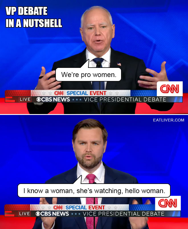 If you didn't have the time to watch this year's presidential debate, here it is summed up.