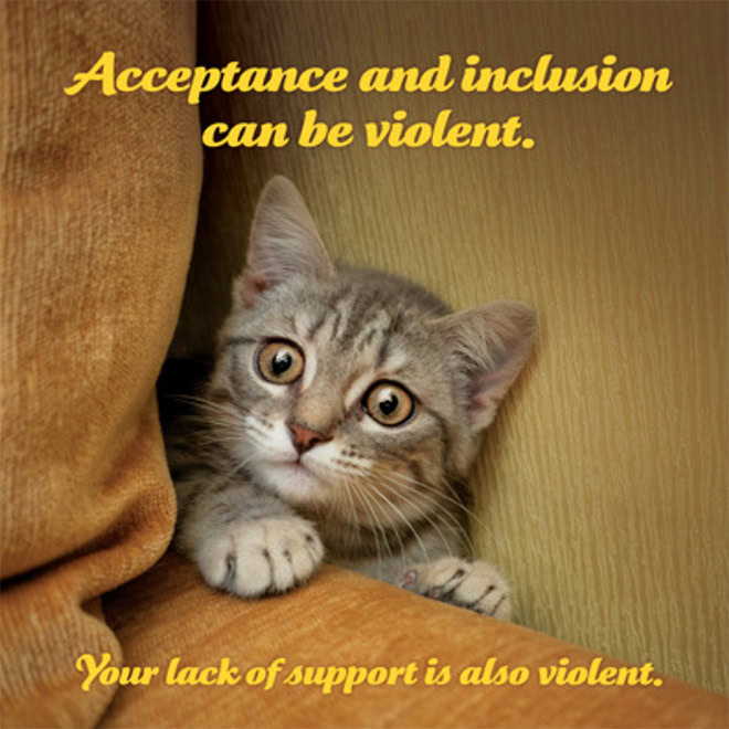 Social justice kitten.