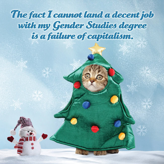 Social justice kitten.